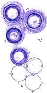 wp08055db1_0f.jpg
