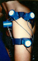 wpe20193c2_0f.jpg